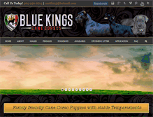 Tablet Screenshot of bluekingscanecorso.com